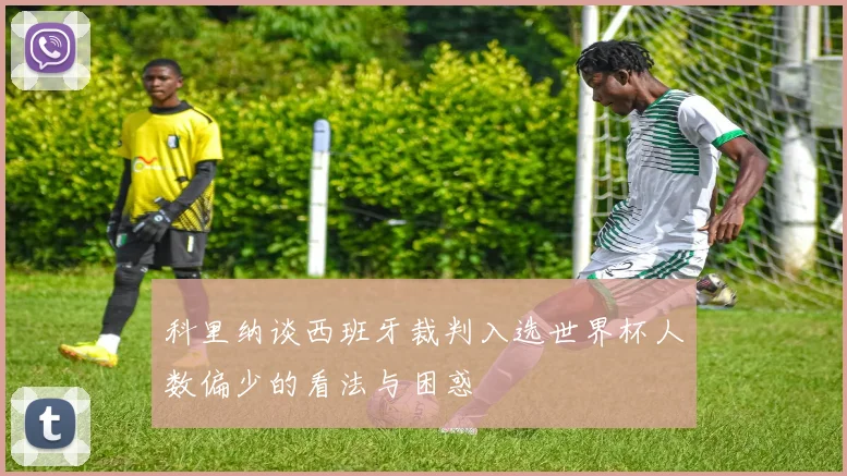 科里纳谈西班牙裁判入选世界杯人数偏少的看法与困惑