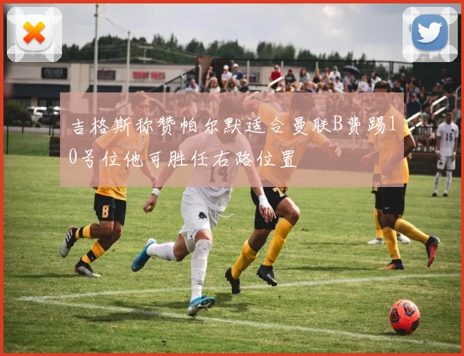 吉格斯称赞帕尔默适合曼联B费踢10号位他可胜任右路位置