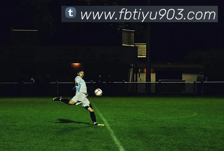 FB体育APP 封面图